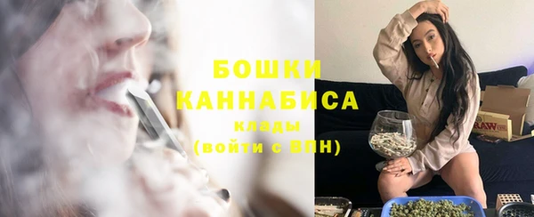 гашик Елизово