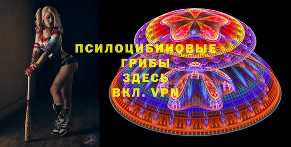 гашик Елизово