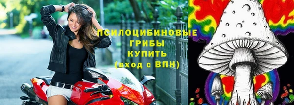 таблы Елабуга